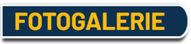 Überschrift Fotogalerie vergangener Events
